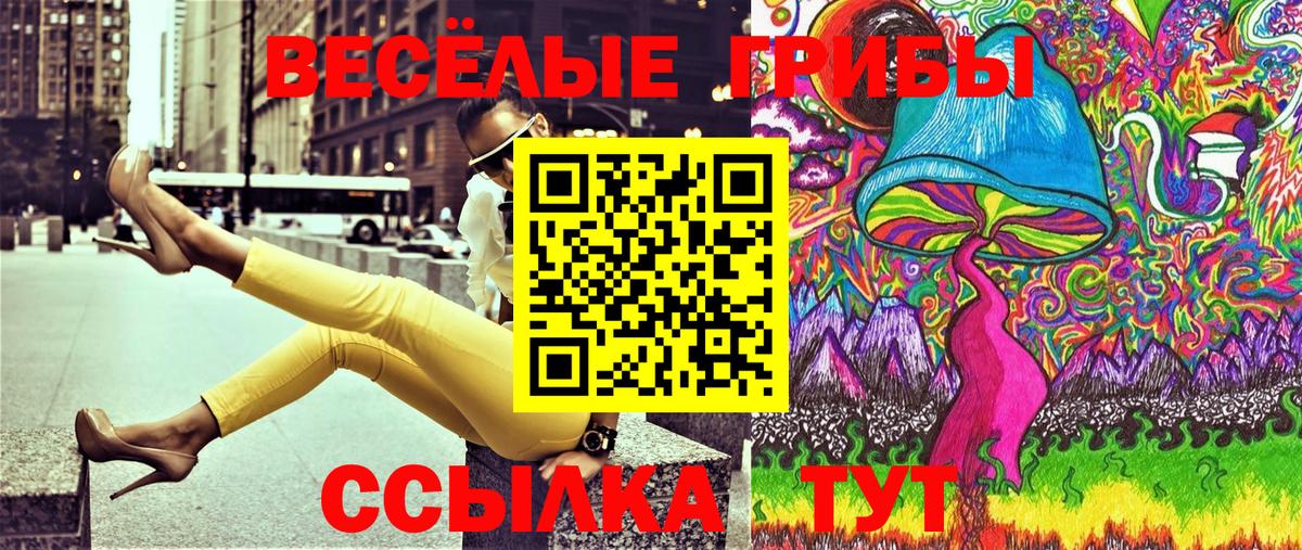 Псилоцибиновые грибы Psilocybe  Вход с VPN  магазин продажи   Псилоцибиновые грибы ЛСД  Курган 