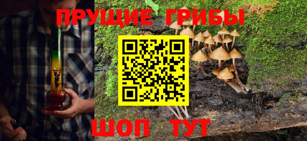 Галлюциногенные грибы GOLDEN TEACHER Курган